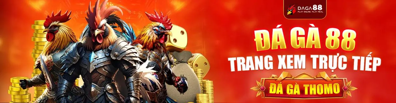 Sân đấu đá gà trực tuyến sôi động tại Ptwin hiện đang mở
